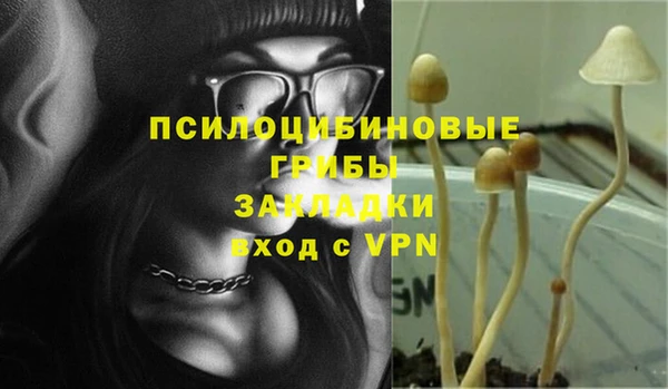 гидропоника Арсеньев
