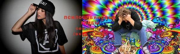 гидропоника Арсеньев