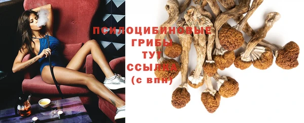ECSTASY Аркадак