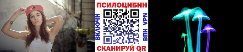 Псилоцибиновые грибы Cubensis  купить наркотик  нарко площадка состав  Валдай 